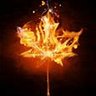 Raging Leaf's profile picture