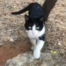 Eva Levy🐝🐝 profil fotoğrafı