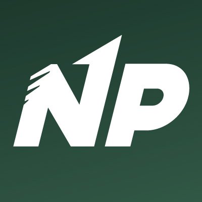 NationalPartyIE's profile picture