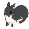 ウサギ's profile picture
