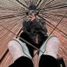 Profilbild von xNoBux