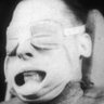 Profilbild von Allen Walters