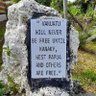 Pantau Papua profil fotoğrafı