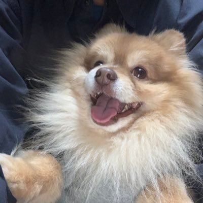 SABO's profile picture