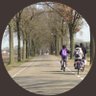 Retrolady0763's profile picture