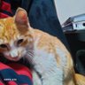 Beril Dilbaz's profile picture