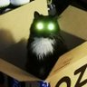 коуч кладбишча и такдалие 的头像