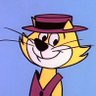 TopCat's profile picture