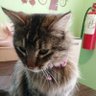 Фото профиля Cristy 💞
