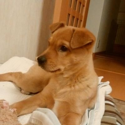 kazu3938's profile picture