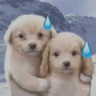 噼里啪啦bong's profile picture