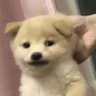 yyy's profile picture
