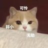 yezimo's profile picture