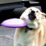 Kaan's profile picture