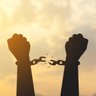 Profilbild von Freedom