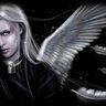 LaplumedeTemperance's profile picture