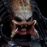Profilbild von Dustemup