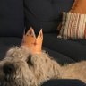 Rich Gray's profile picture