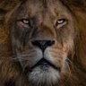 Arman S profil fotoğrafı