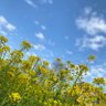 Фото профиля HA異なるアカウントから発信していないから全て別人ですよその人は