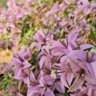 Фото профиля متفائله
