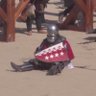 Knightess 的头像