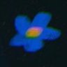 Profilbild von semoyed