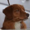 Profilbild von JPShinn