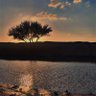 Фото профиля سلطان المطيري