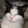 Profilbild von daniel