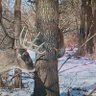 Фото профиля Iowa Hunter
