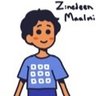 Profilbild von Zinedeen Maalmi