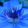awake777's profile picture