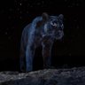 BlackArrow's profile picture