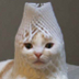 Akkie's profile picture