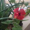 hnd.mvi profil fotoğrafı