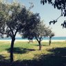 Ienasca profil fotoğrafı