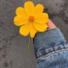 Profilbild von 💛