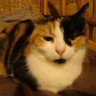 Cunegonda ✝️ 🐭(Zini🎗️🇮🇱) profil fotoğrafı