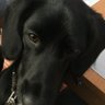 Jan Bezzębny profil fotoğrafı