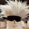 Profilbild von El_gato_latino