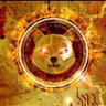 Shiba 的头像