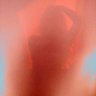 Diana's profile picture