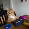 zigge's profile picture