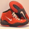 WrestlingShoes 的头像