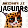 RationalJagsfan's profile picture
