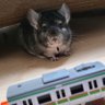 Profilbild von JUN