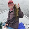 Mike Nelson's profile picture