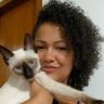 Andreia Alves's profile picture