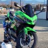 みどりのくま号(仮)'s profile picture